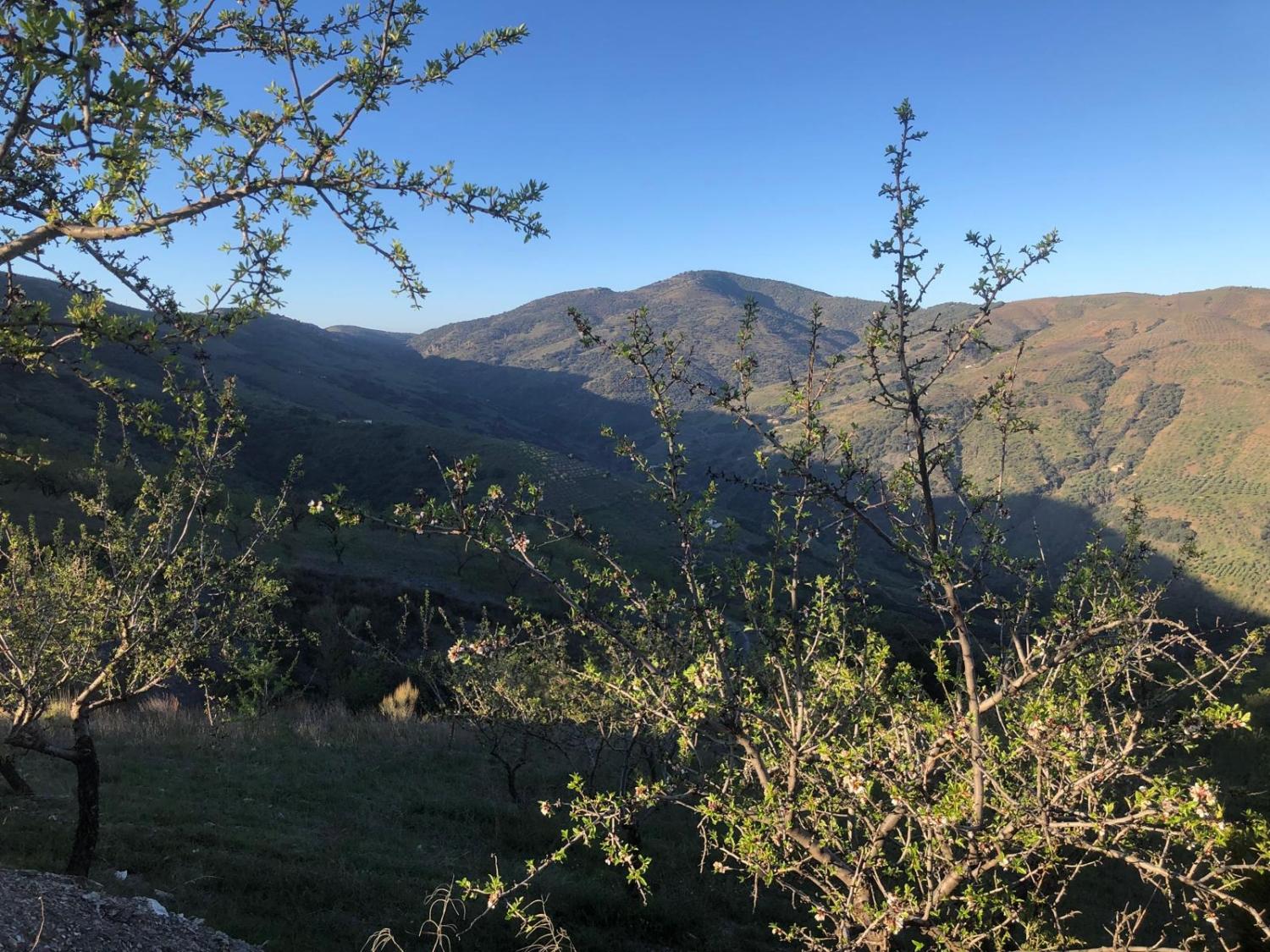  till salu hus Torvizcón Alpujarra Granadina 9