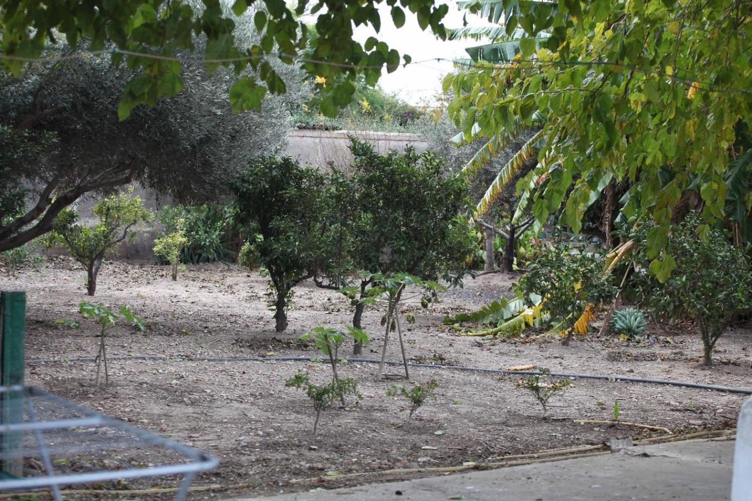  till salu villa Sollana Ribera Baixa 73