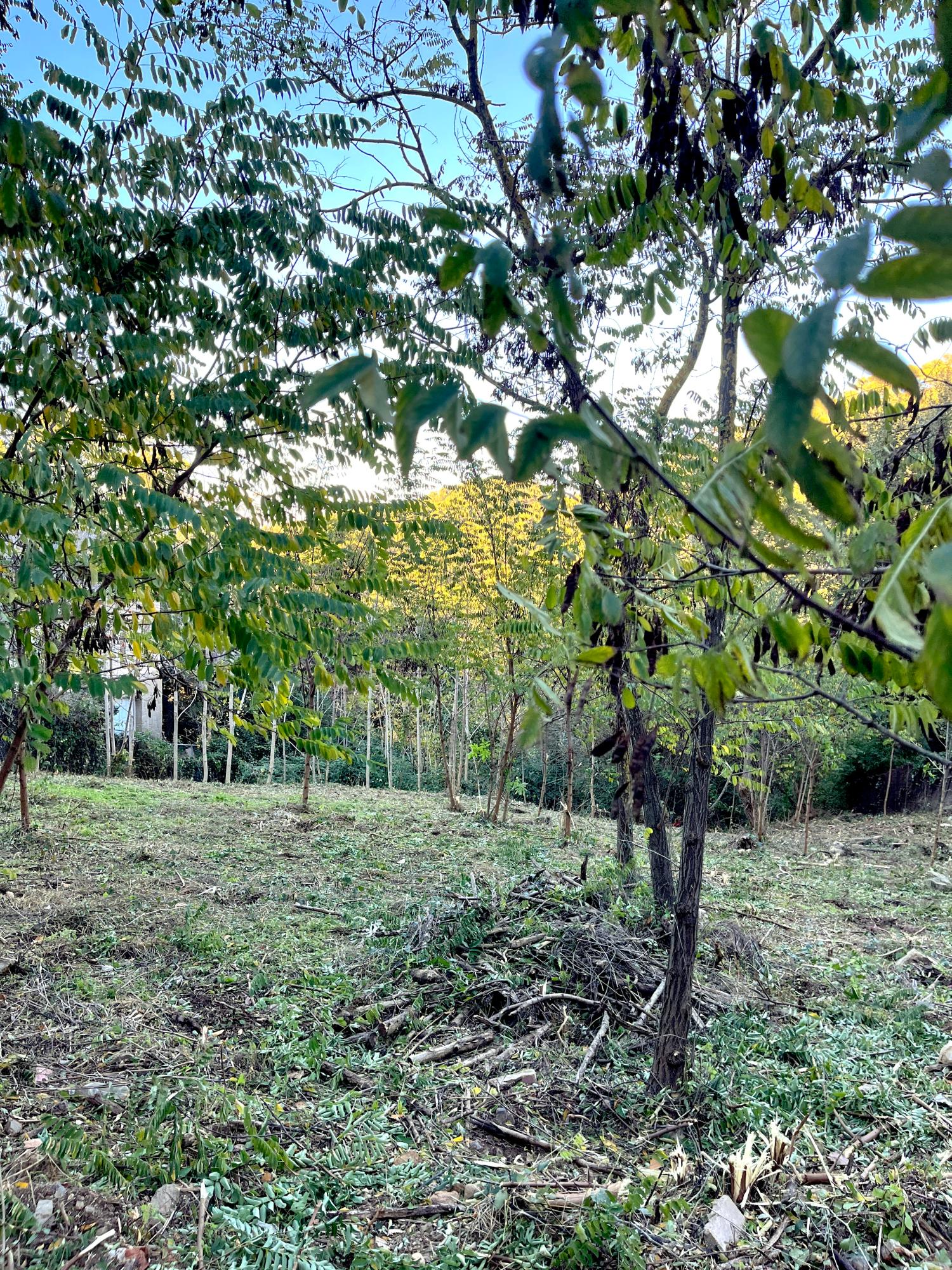  till salu tomt Les Planes Vallès Occidental 5