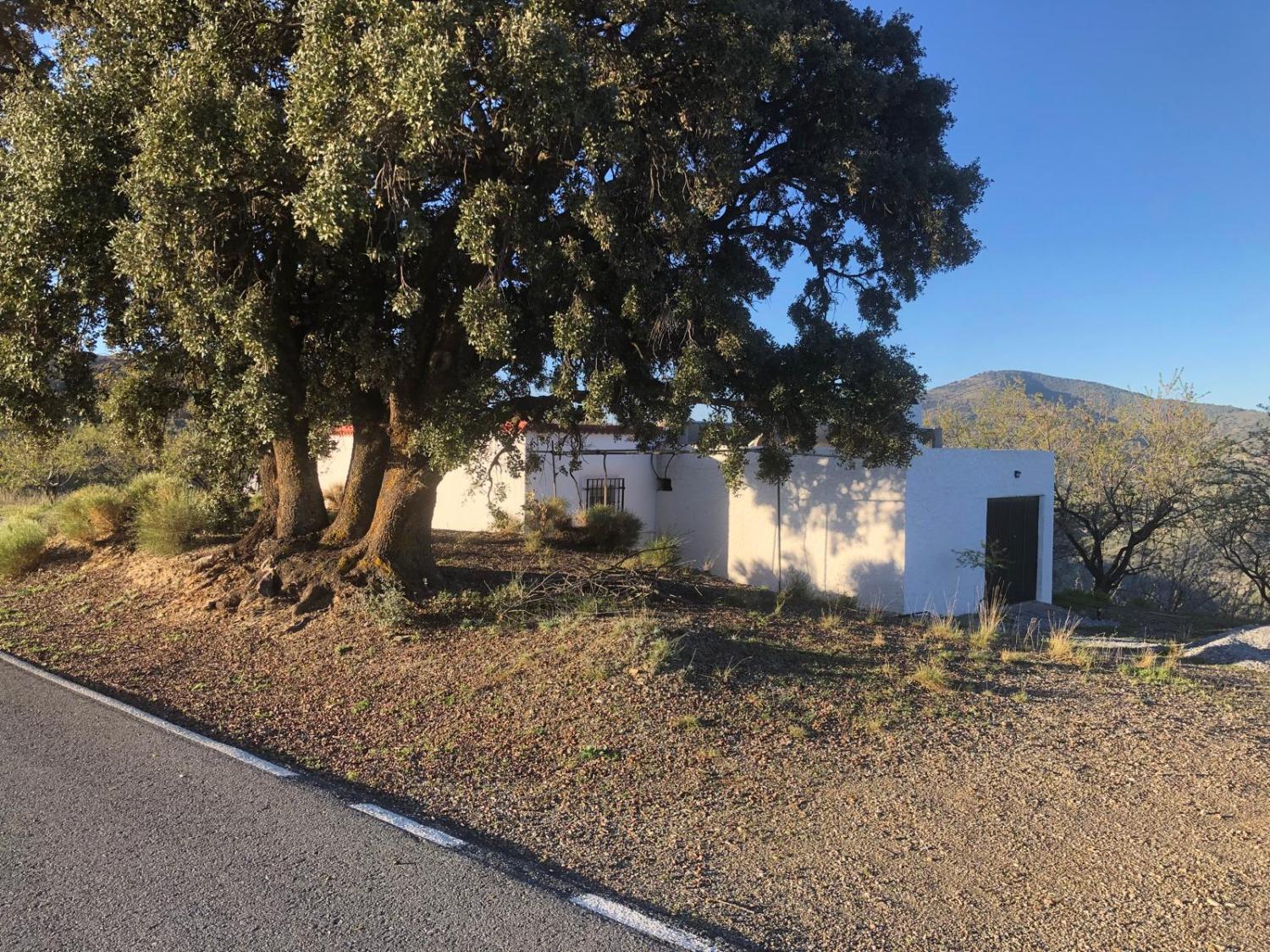  till salu hus Torvizcón Alpujarra Granadina 1