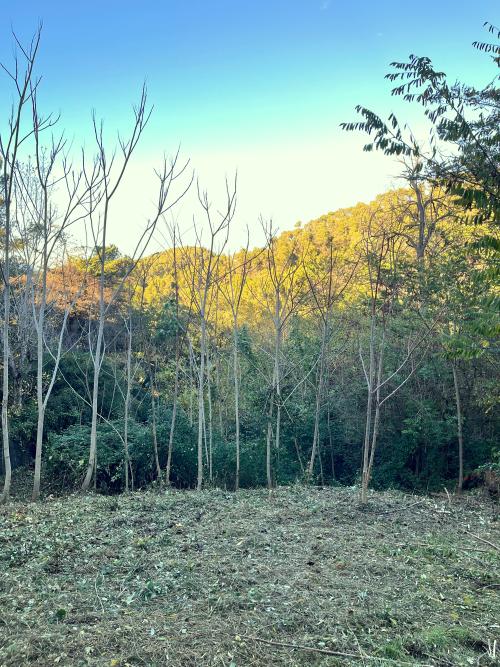 Les Planes Vallès Occidental tomt foto 5408629