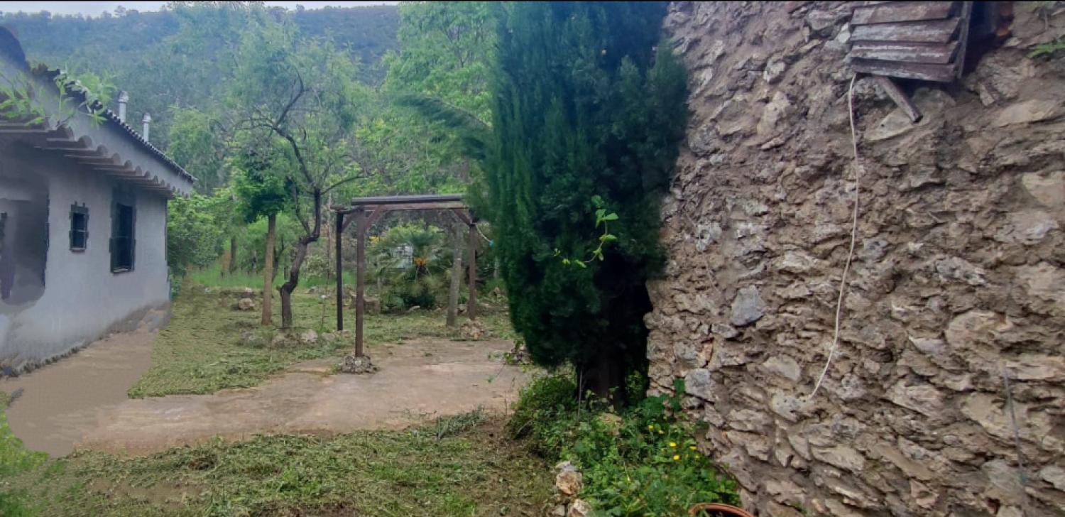 till salu hus Vall De Gallinera Marina Alta 8