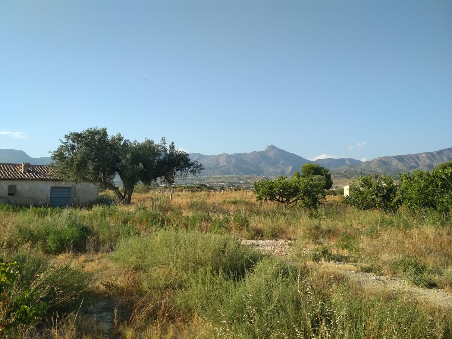  till salu tomt Agost Alacantí 12