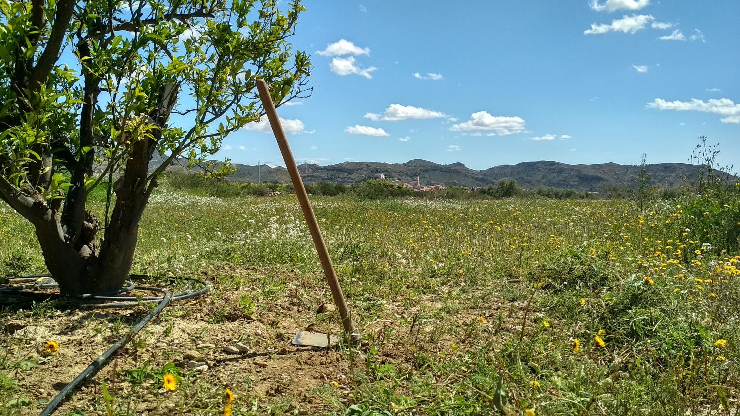 till salu tomt Agost Alacantí 2