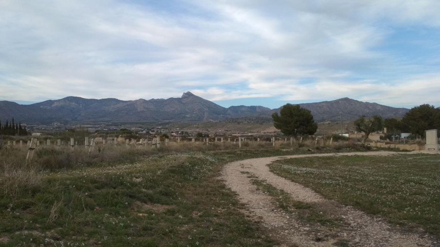  till salu tomt Agost Alacantí 16