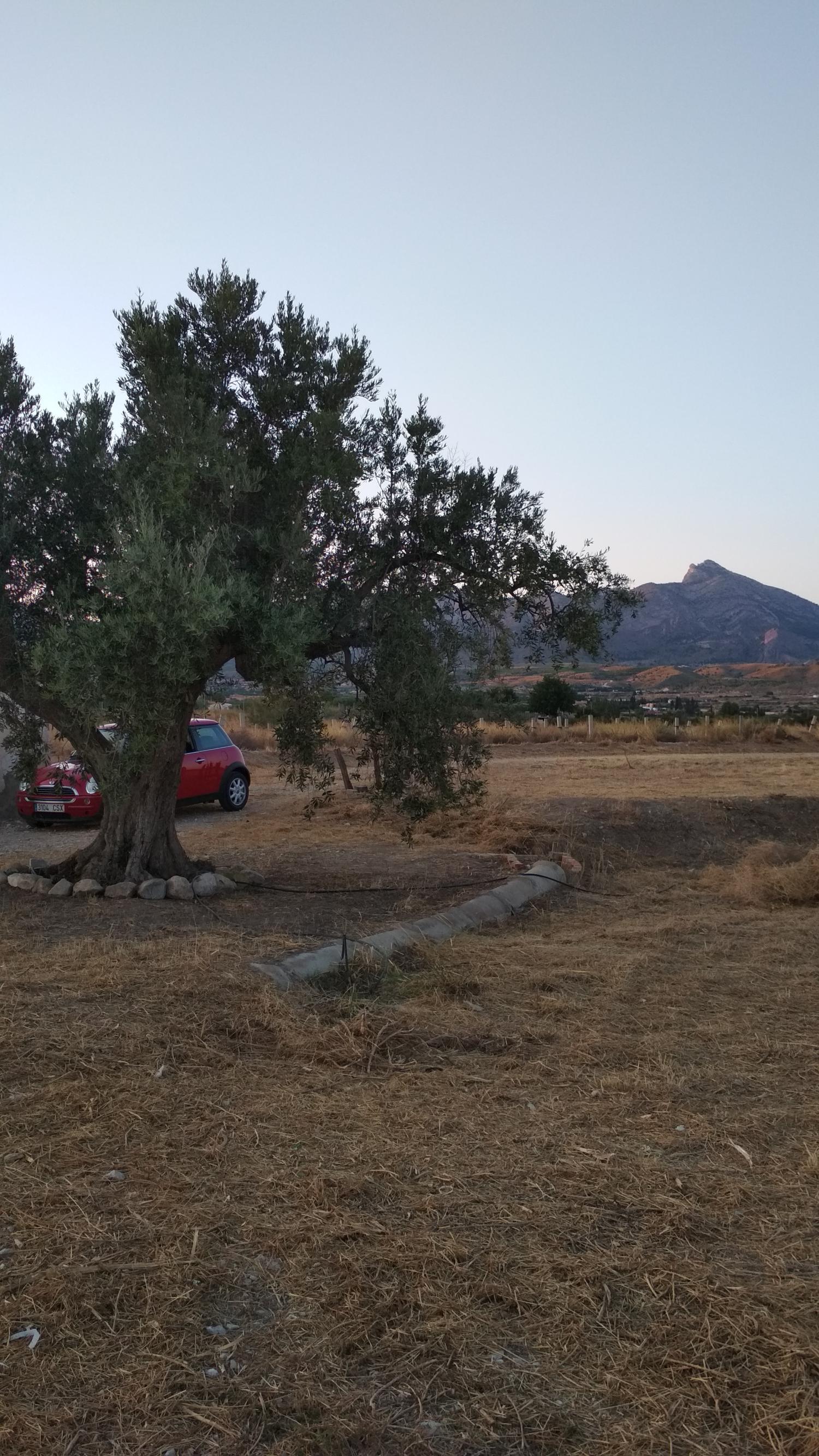  till salu tomt Agost Alacantí 13