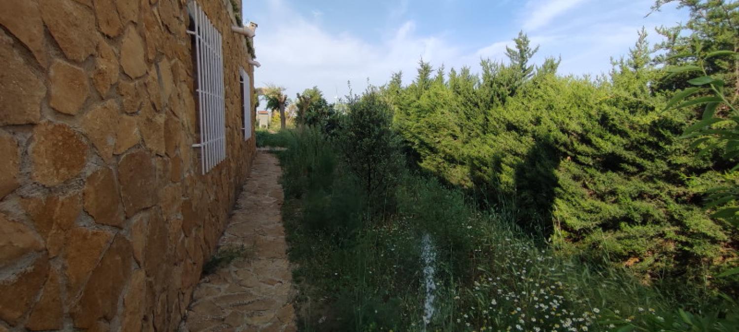  till salu hus La Higuera Monte Ibérico Almansa 25