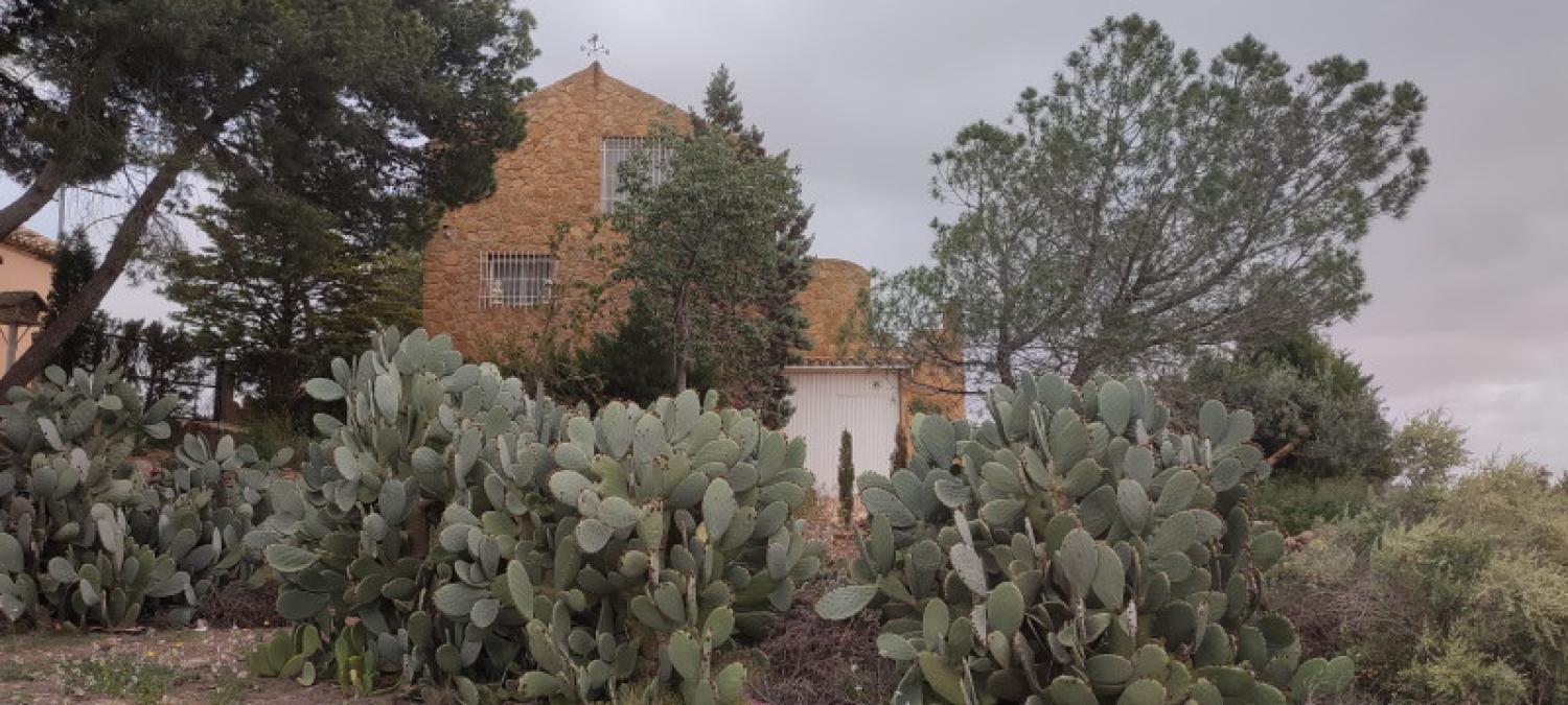  till salu hus La Higuera Monte Ibérico Almansa 5