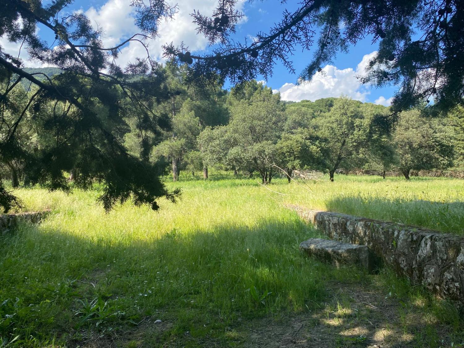  till salu tomt Sotillo De La Adrada Valle Del Tiétar 1