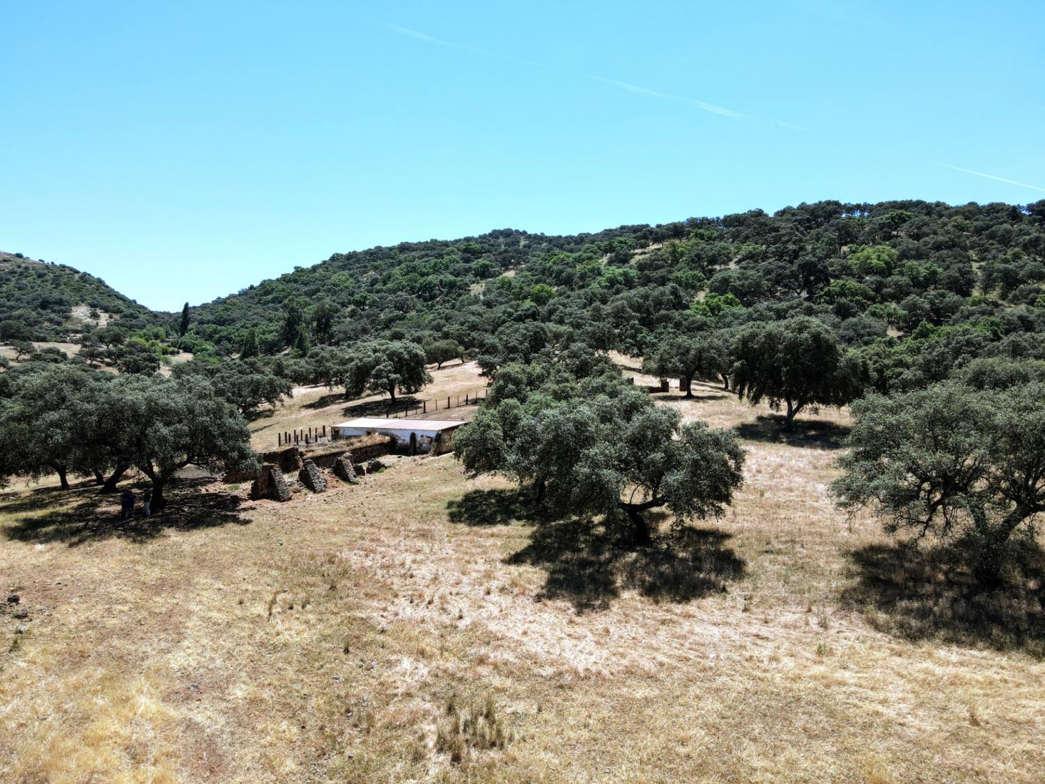  till salu hus på landet Cazalla De La Sierra Sierra Norte 7