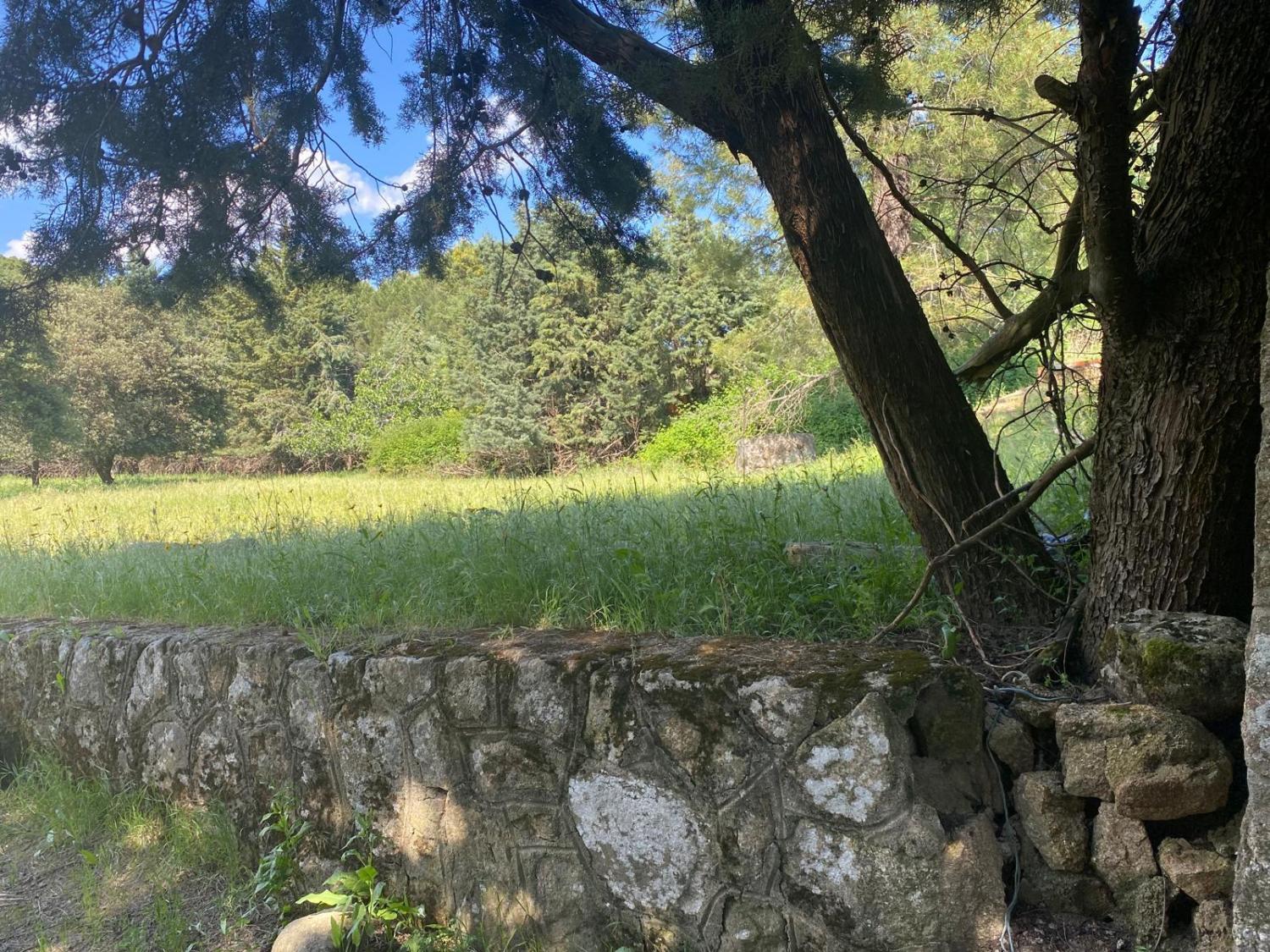  till salu tomt Sotillo De La Adrada Valle Del Tiétar 4