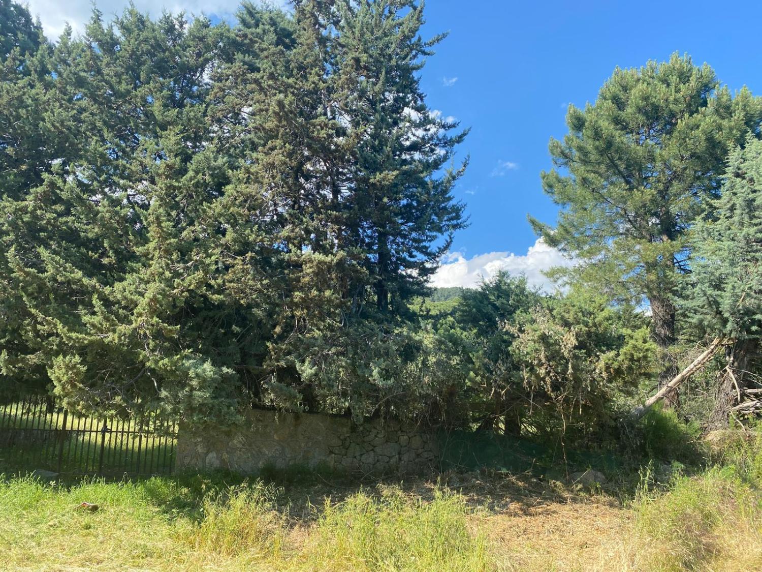  till salu tomt Sotillo De La Adrada Valle Del Tiétar 7