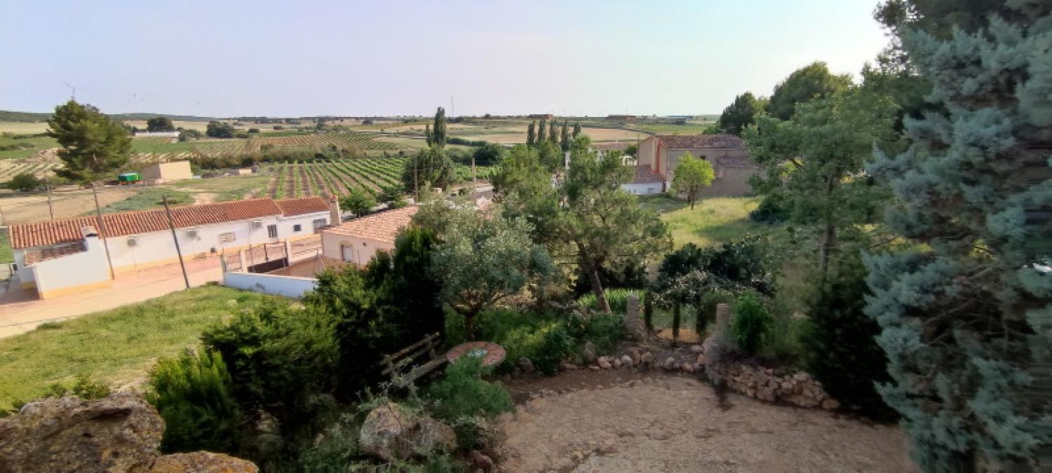  till salu hus La Higuera Monte Ibérico Almansa 38