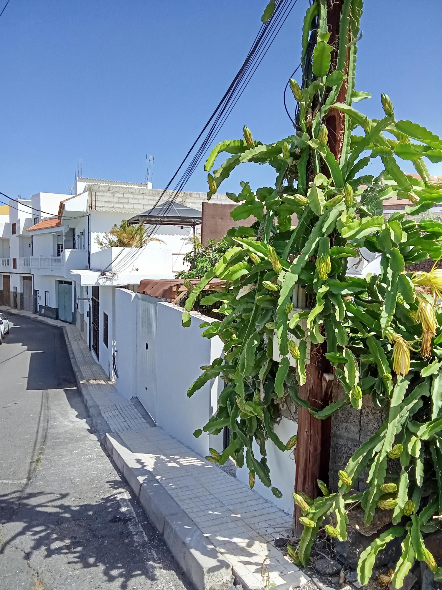  till salu villa Los Menores Zona Sur 20