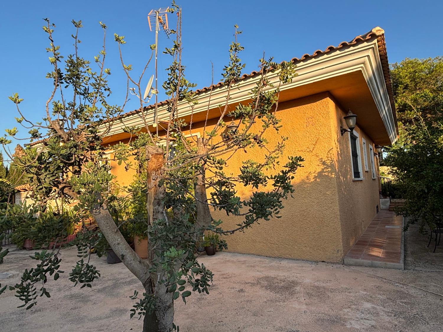  till salu villa San Vicente Del Raspeig Alacantí 26