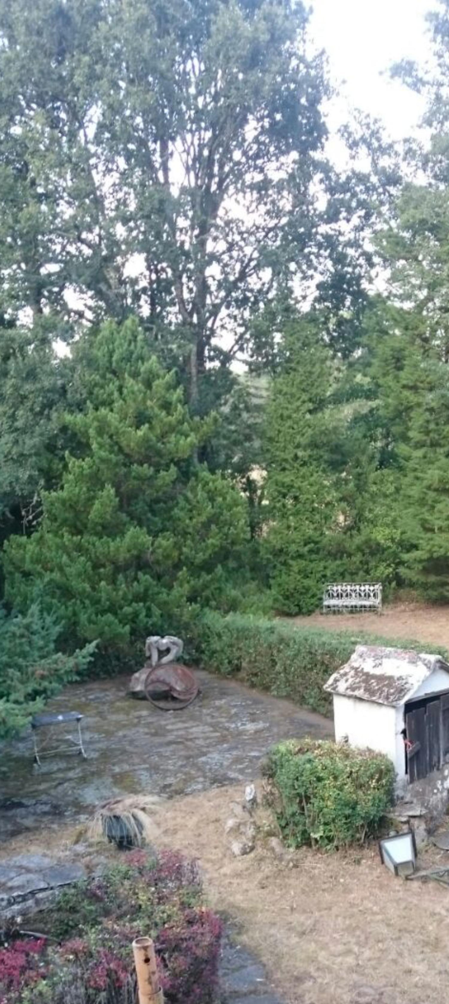  till salu hus på landet Begonte Terra Chá 3