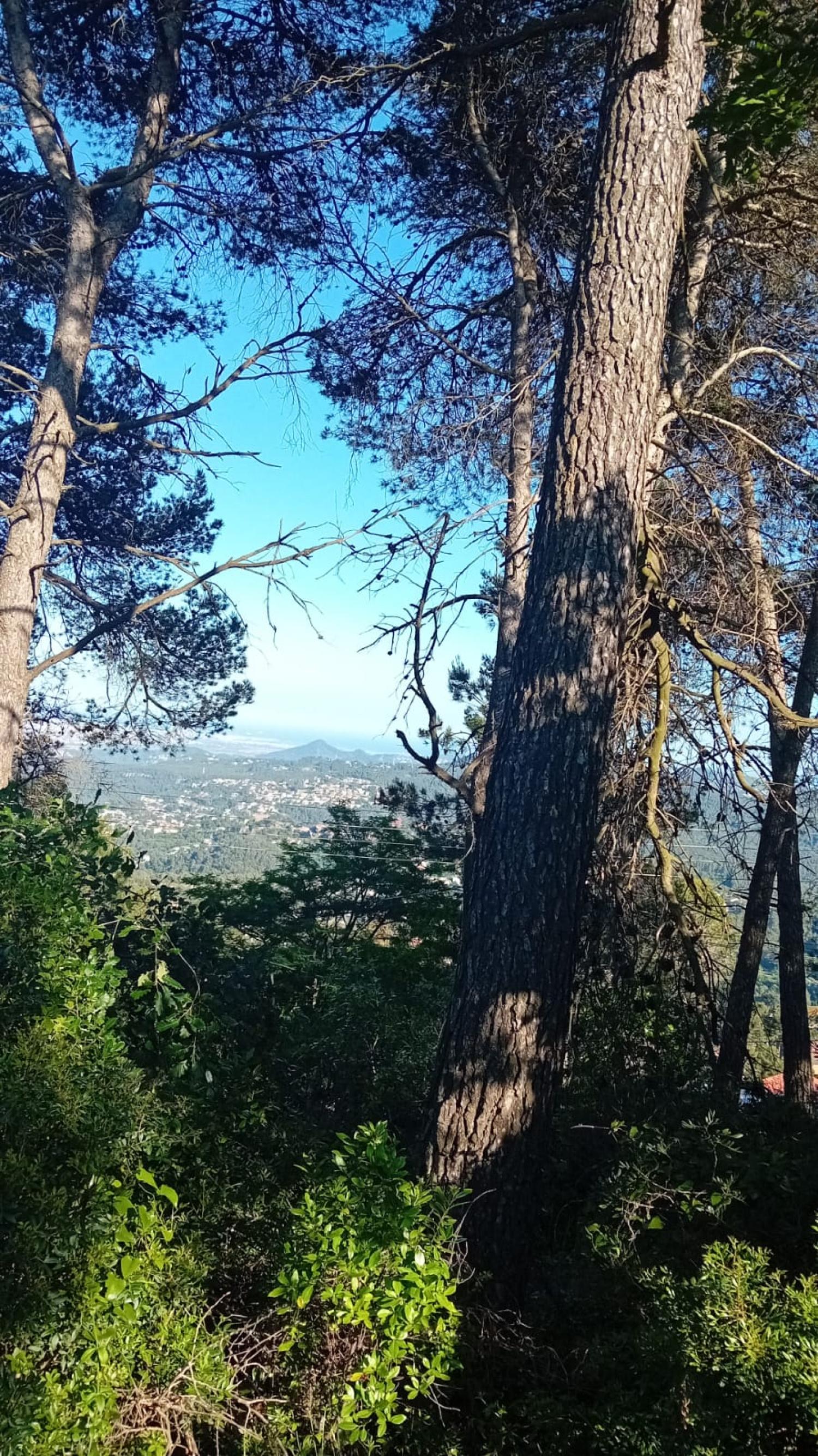  till salu tomt Corbera De Llobregat Baix Llobregat 2