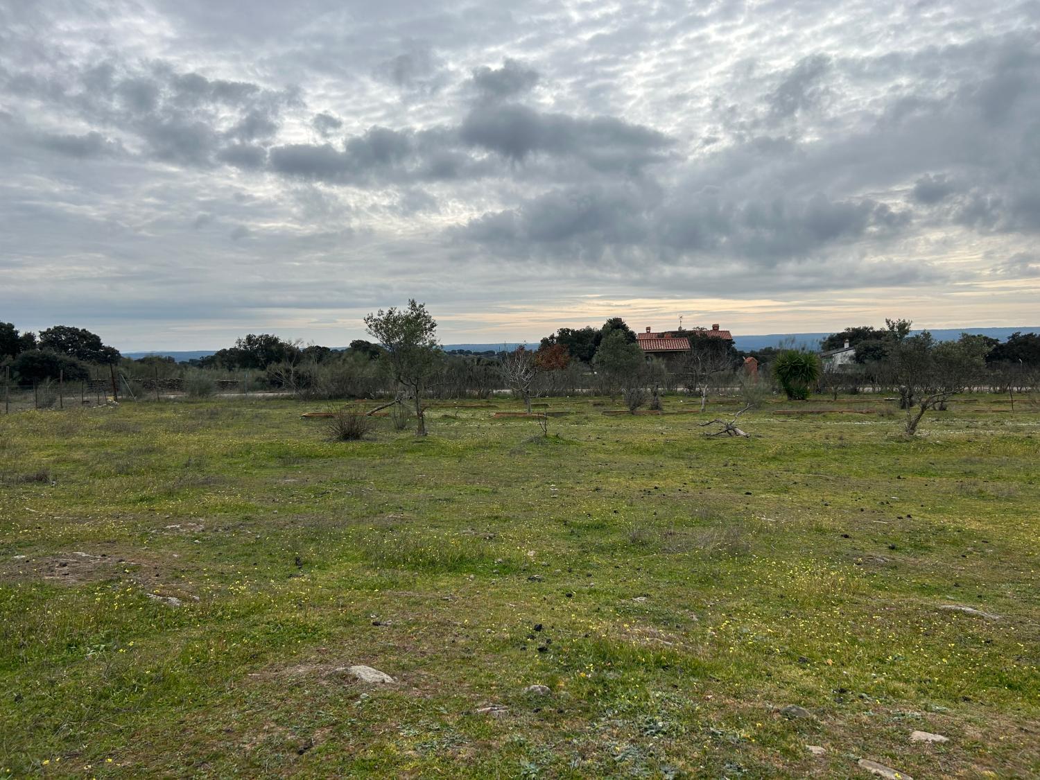  till salu hus på landet Serradilla Monfragüe 17