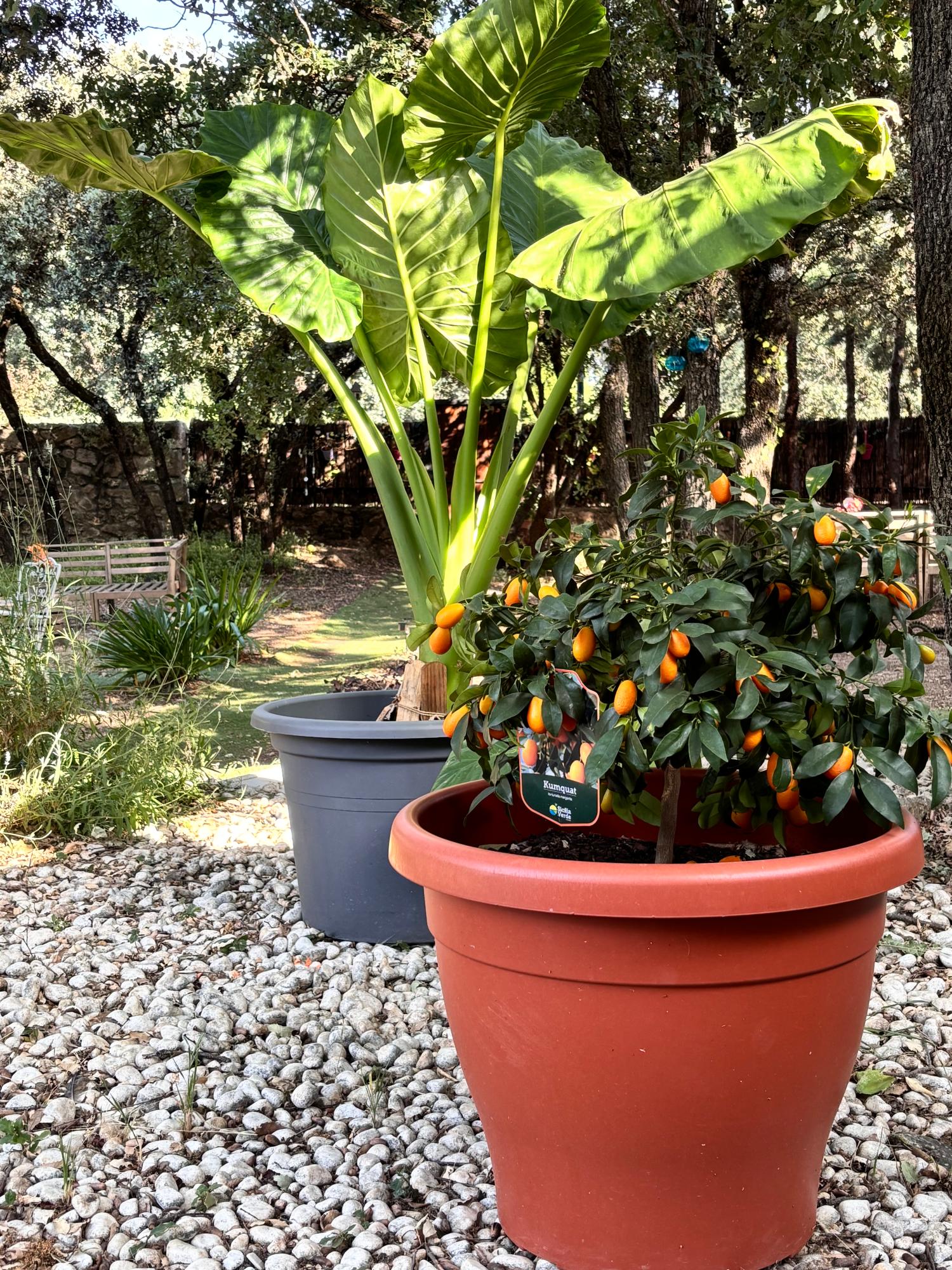  till salu villa Cotos De Monterrey Sierra Norte 38