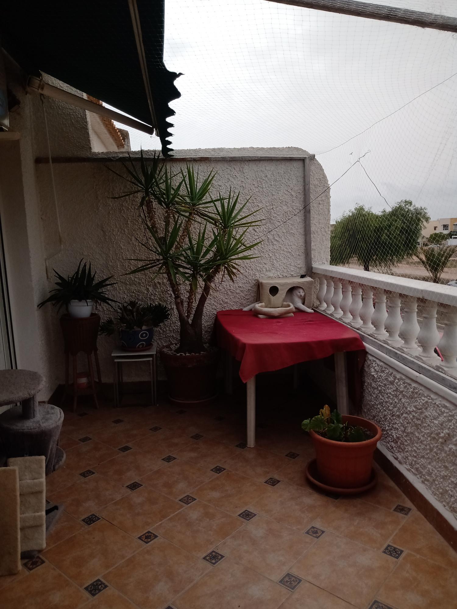  till salu parhus Orihuela Costa Baix Segura 6