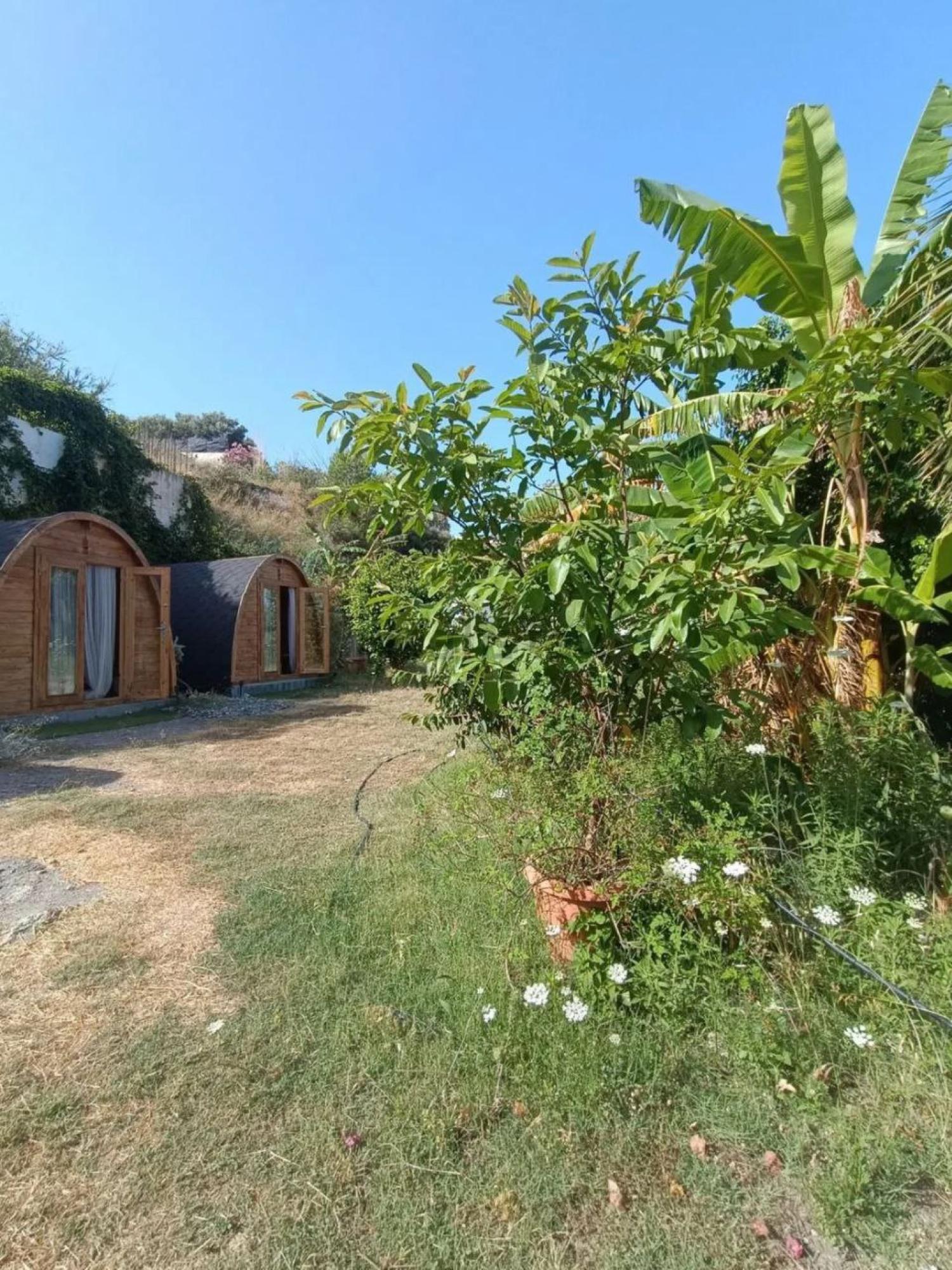  till salu hus på landet Motril Costa Tropical 23