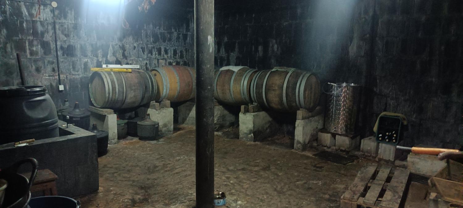  till salu villa Camponaraya Bierzo (El) 5