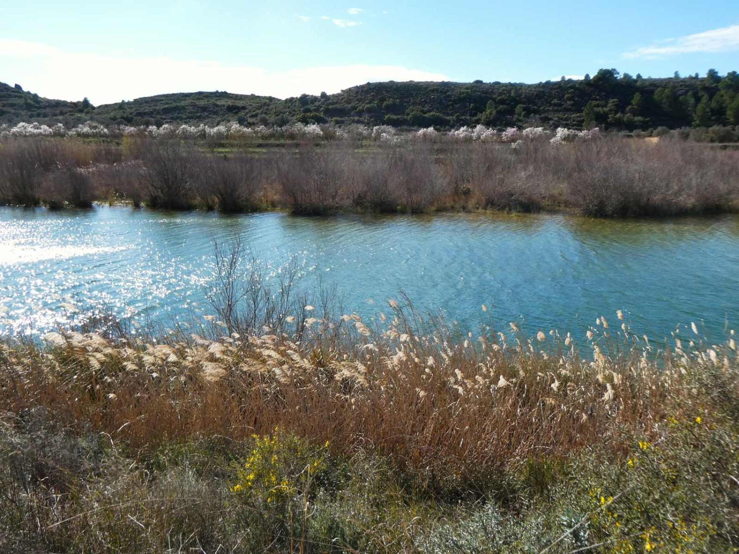 till salu hus på landet Fabara Bajo Aragón-Caspe 4