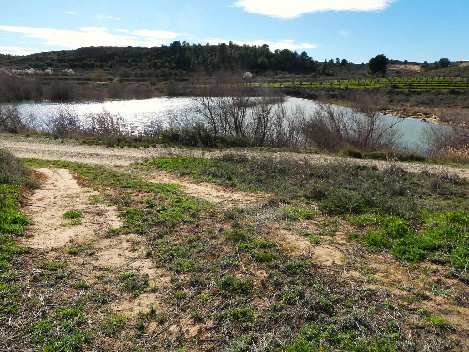 till salu hus på landet Fabara Bajo Aragón-Caspe 33
