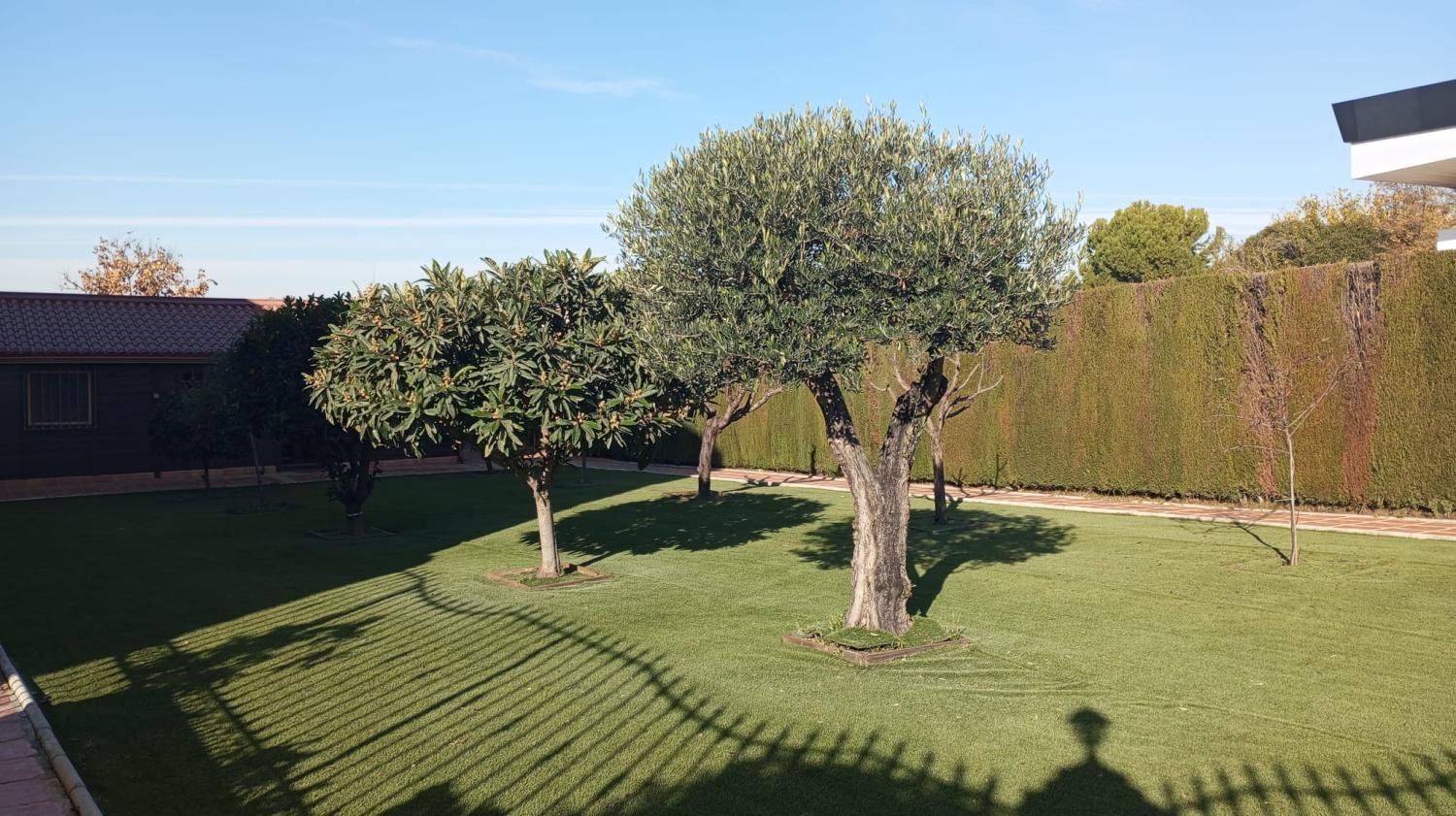  till salu villa Alcalá La Real Sierra Sur 7