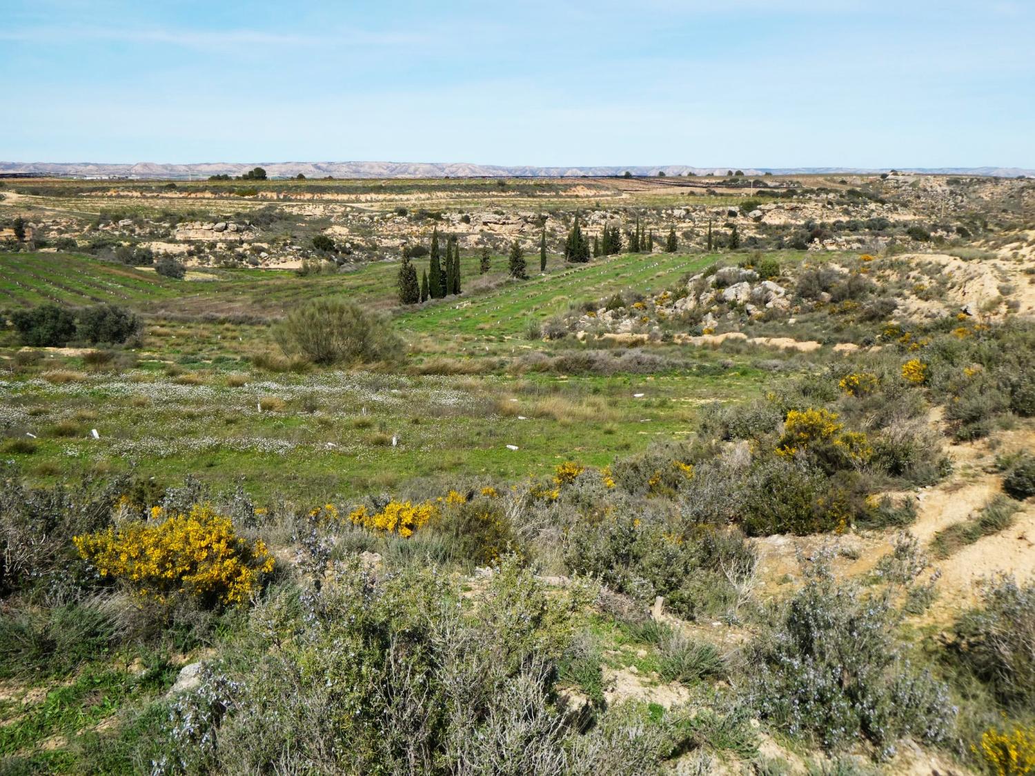  till salu hus på landet Caspe Bajo Aragón-Caspe 38