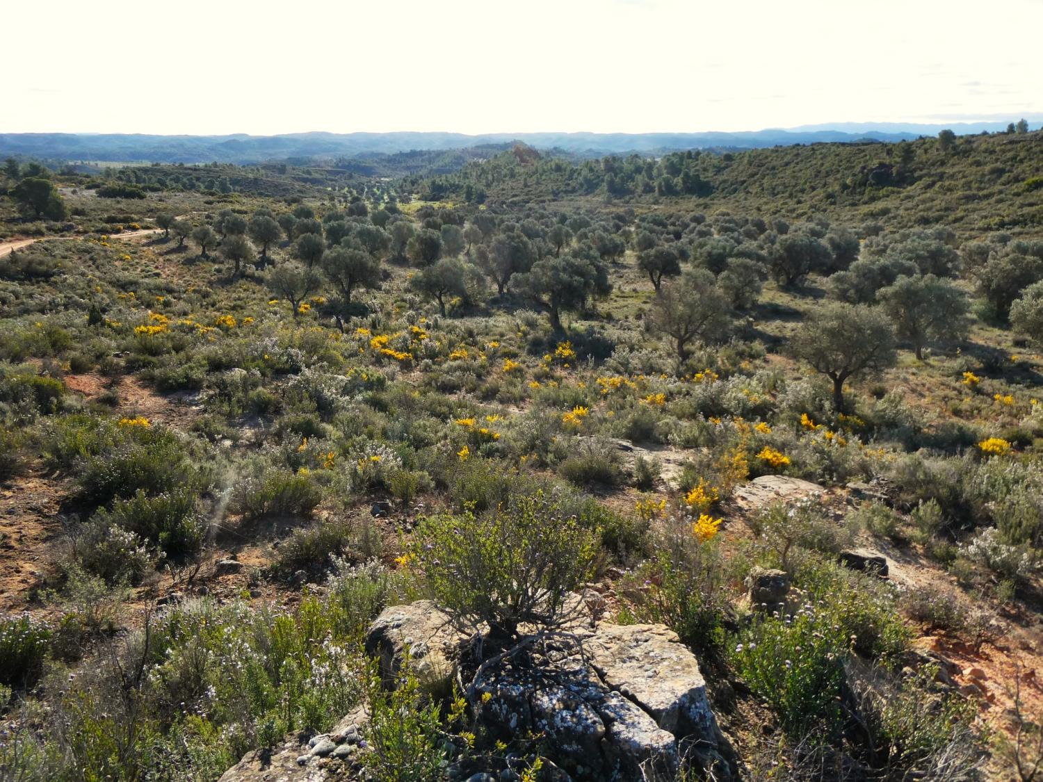  till salu hus på landet Fabara Bajo Aragón-Caspe 28