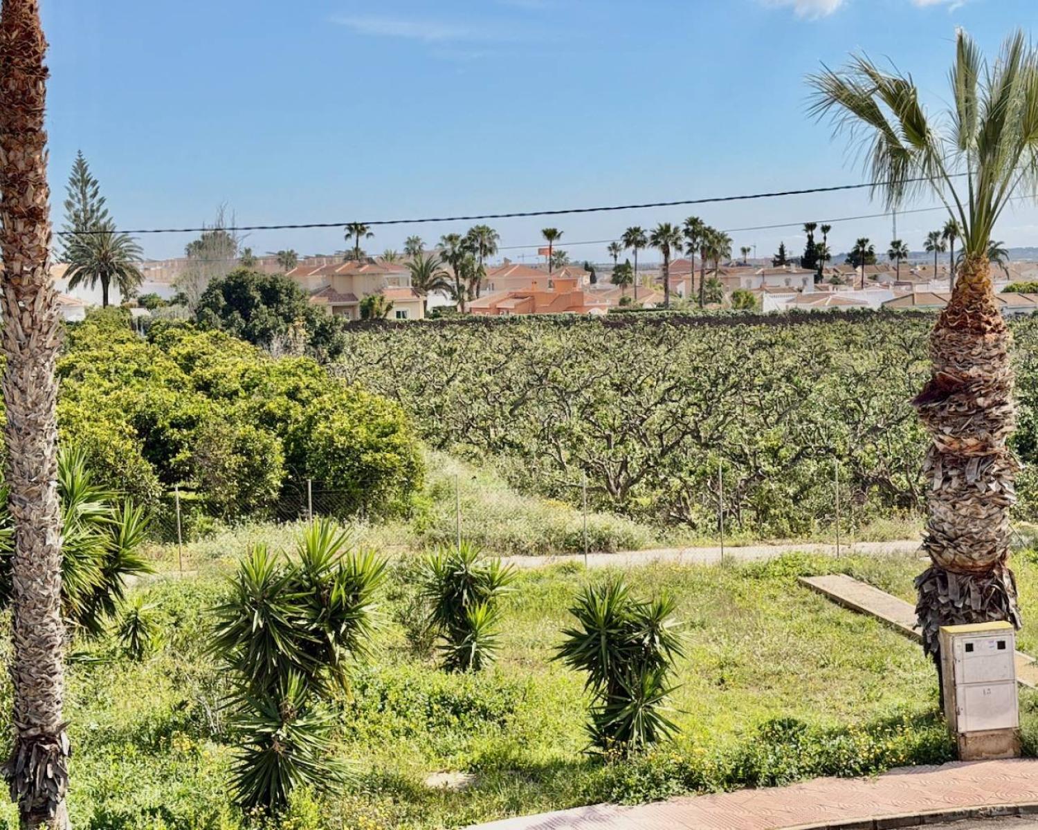  till salu lägenhet Ciudad Quesada Baix Segura 14