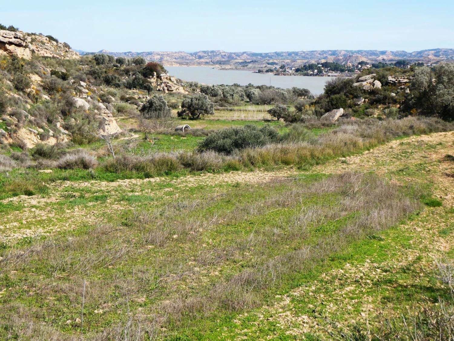  till salu hus på landet Caspe Bajo Aragón-Caspe 32