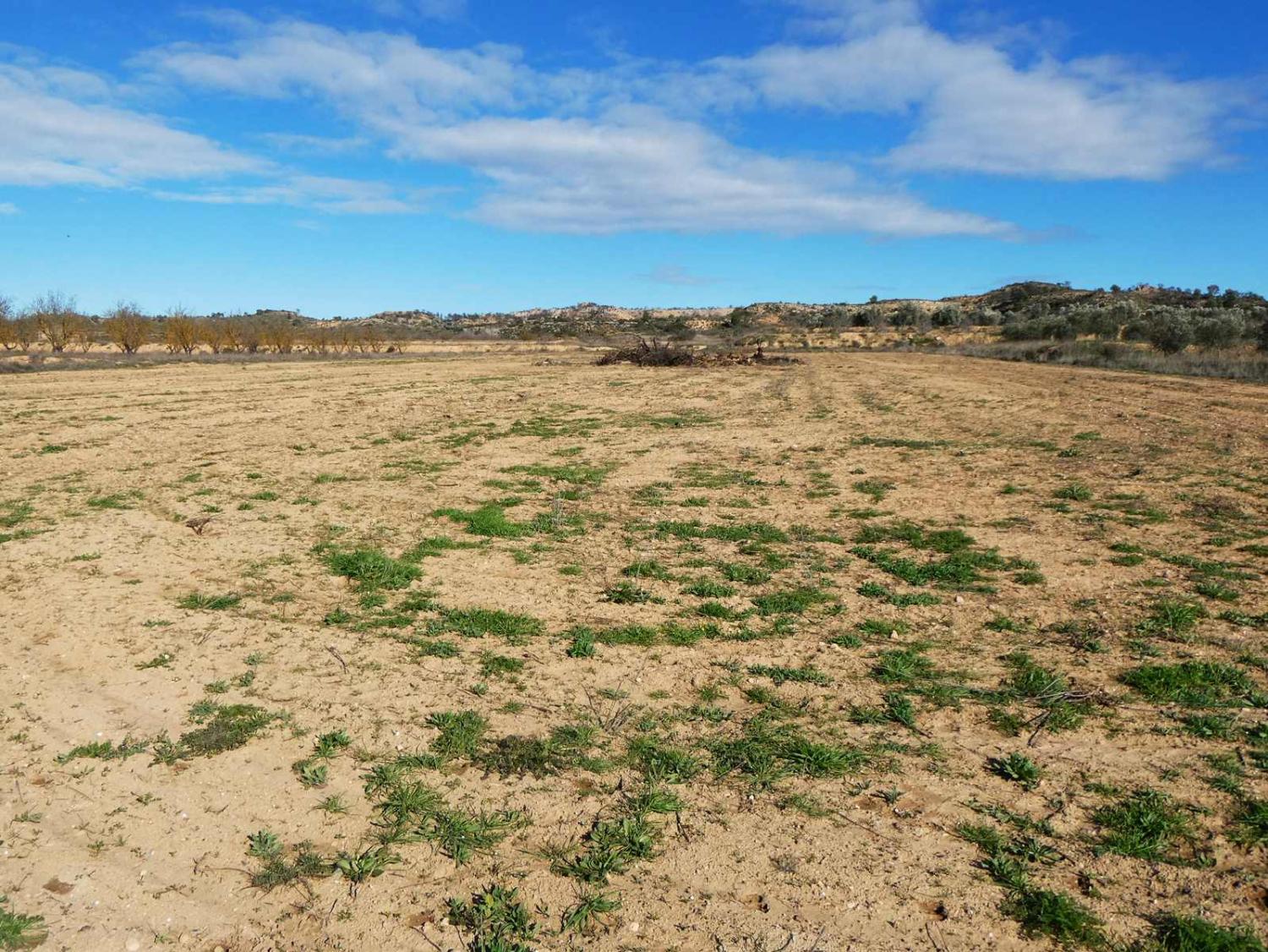 till salu hus på landet Fabara Bajo Aragón-Caspe 17