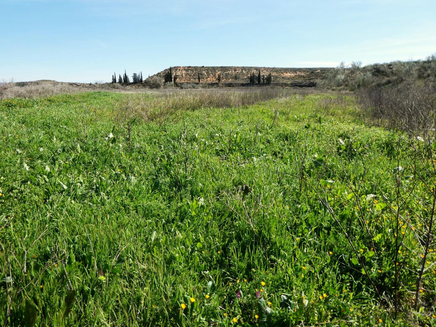  till salu hus på landet Caspe Bajo Aragón-Caspe 33