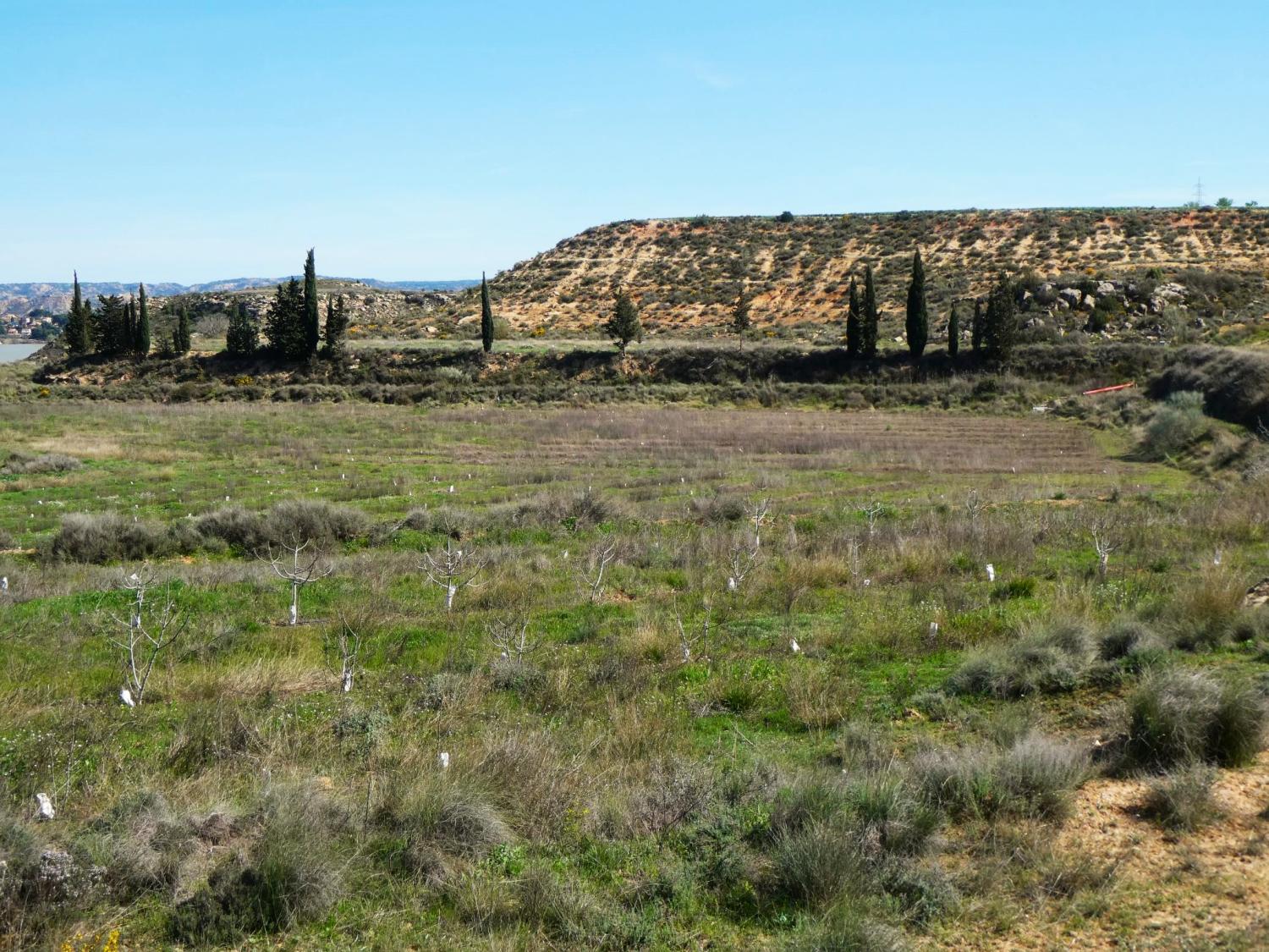  till salu hus på landet Caspe Bajo Aragón-Caspe 34