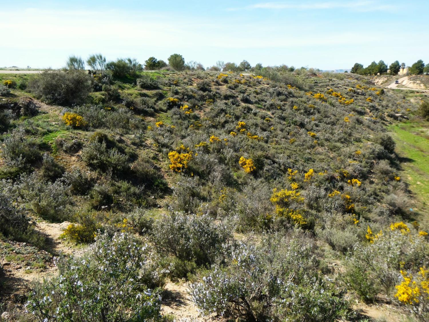  till salu hus på landet Caspe Bajo Aragón-Caspe 36