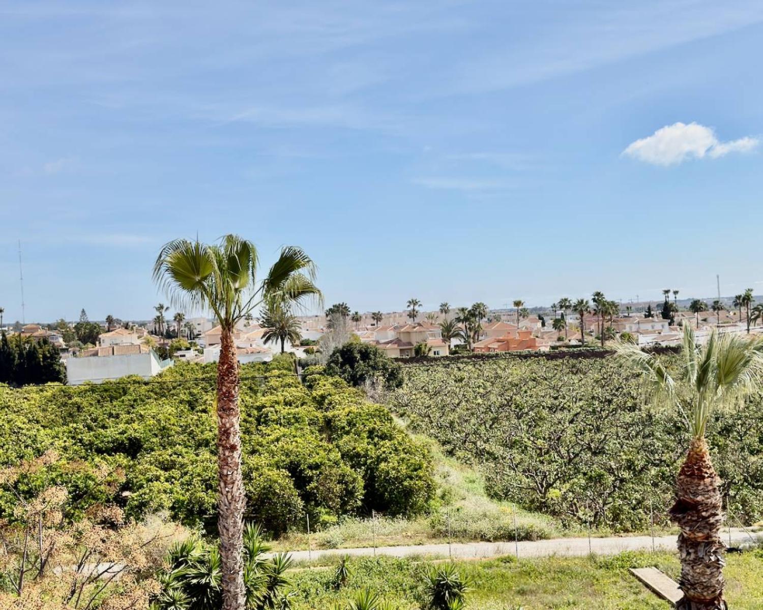  till salu lägenhet Ciudad Quesada Baix Segura 16