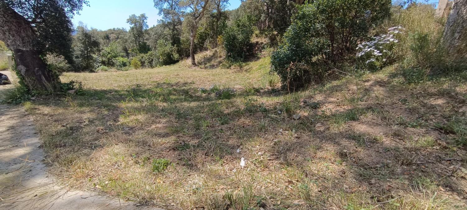  till salu tomt Fontbona Gironès 3