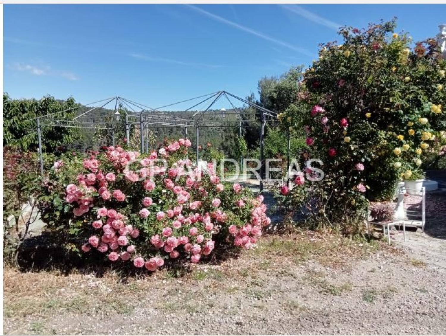  till salu villa Alcoi 03803 Alcoia 40